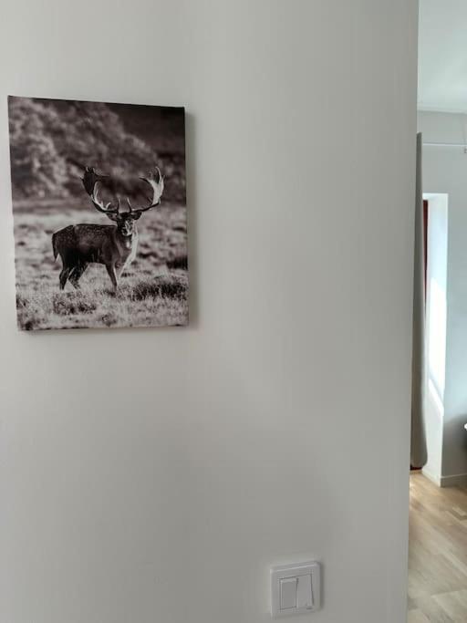 Laegenheter Vallersgatan Visby Exteriör bild